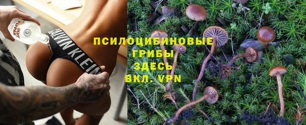 молекула духа Нягань