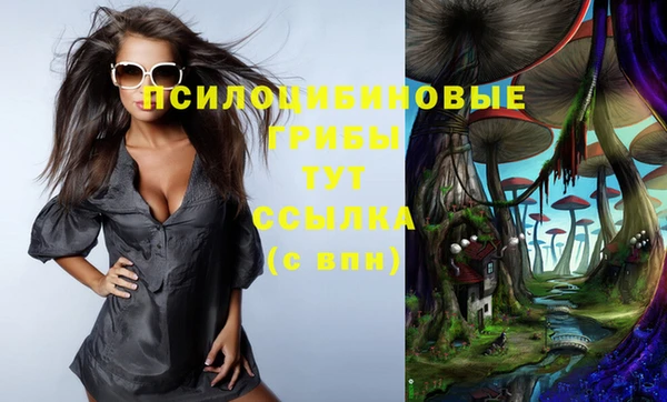 молекула духа Нягань