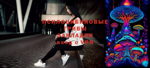 молекула духа Нягань