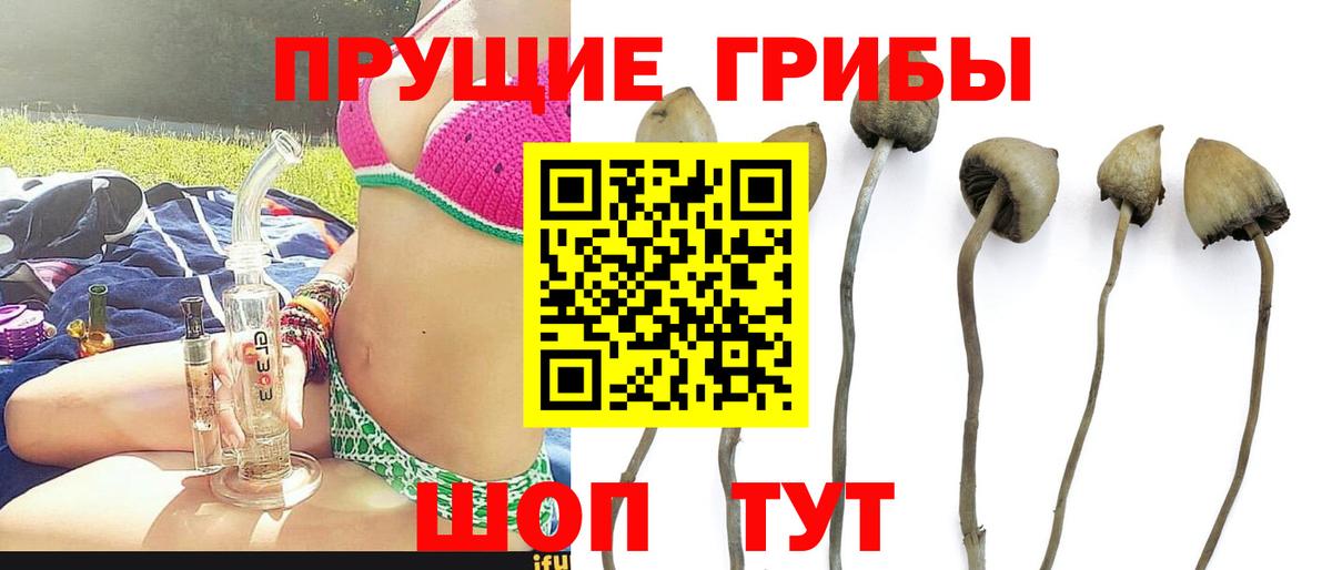 Ханты-Мансийск  Псилоцибиновые грибы Cubensis  Вход с VPN 